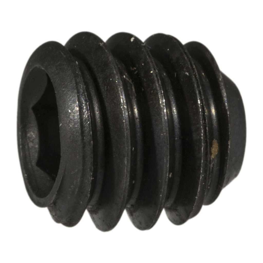 1/4-20 x 1/4 Socket Set Screw