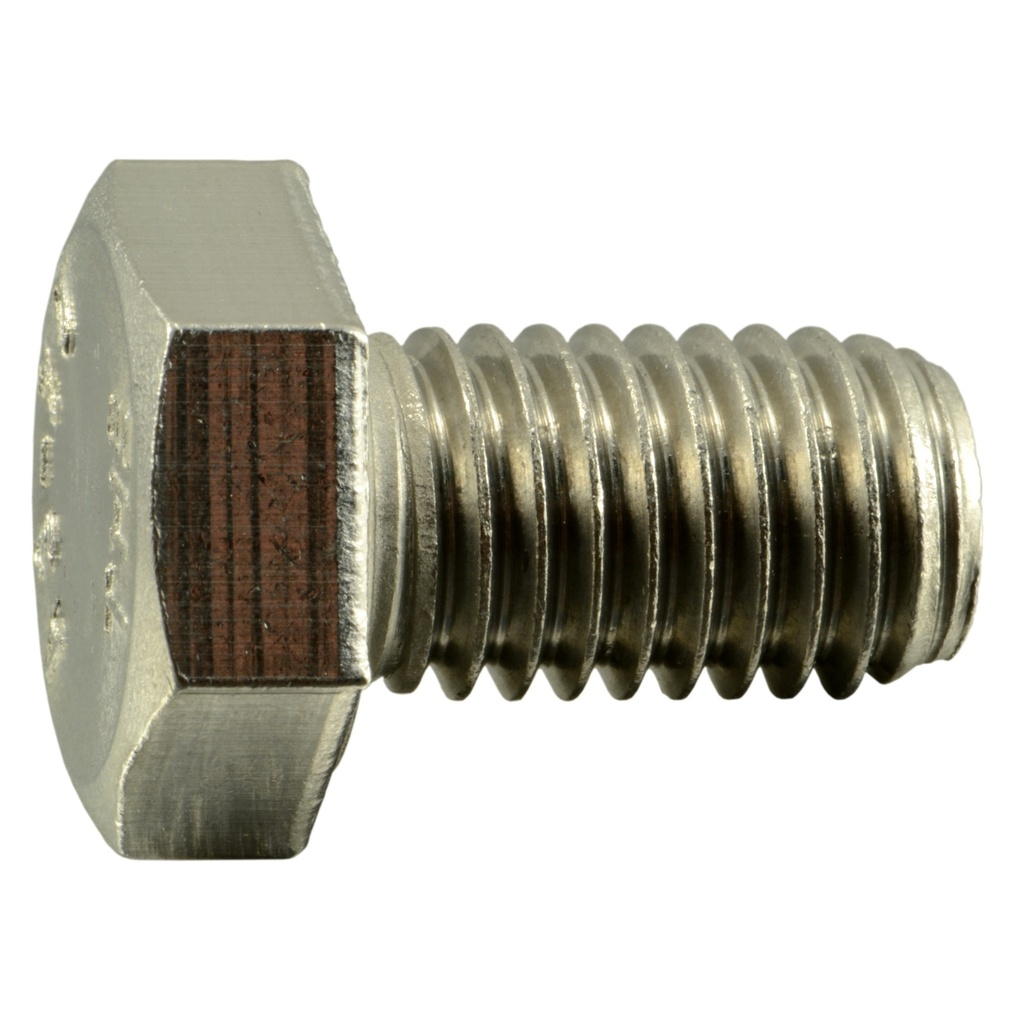 12mm-1.75x20mm Hex Cap Screw SS