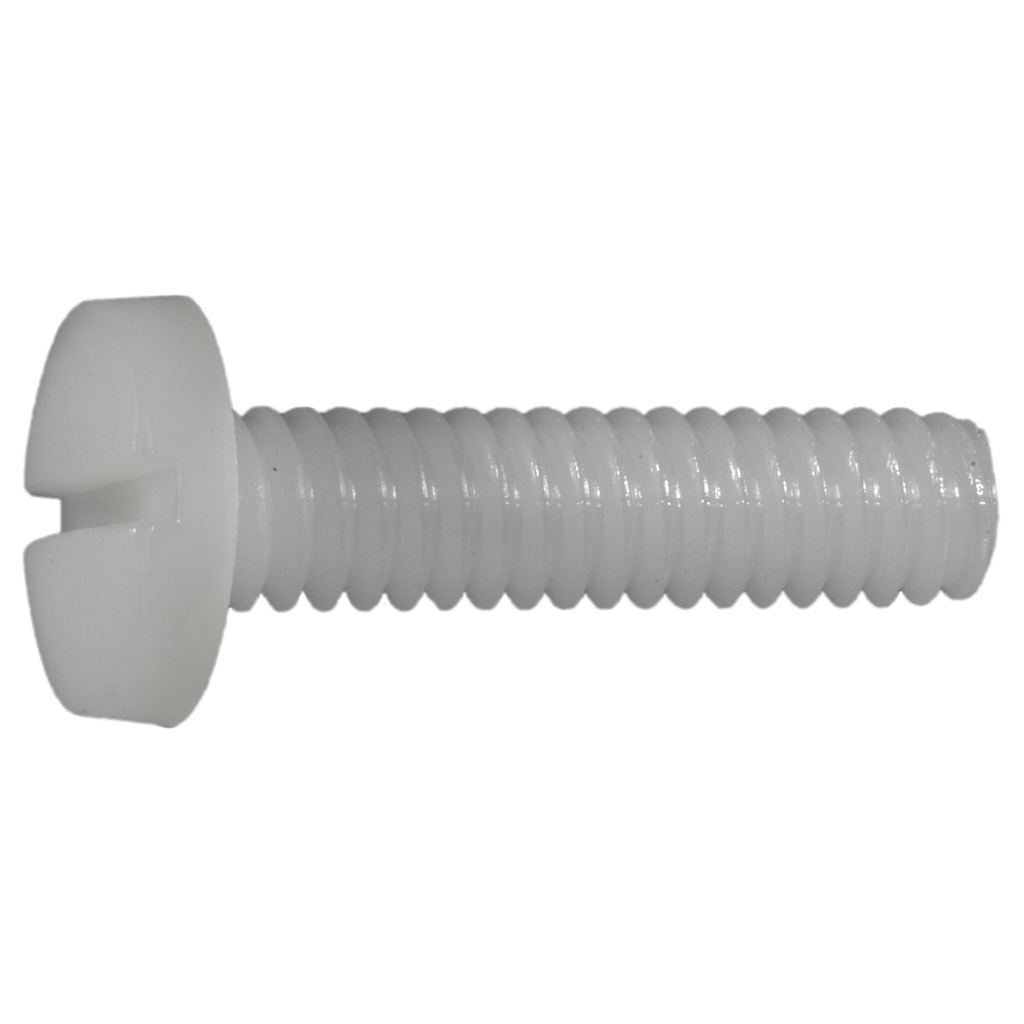 1/4-20 x 1 Sl Bind Scr Nyln