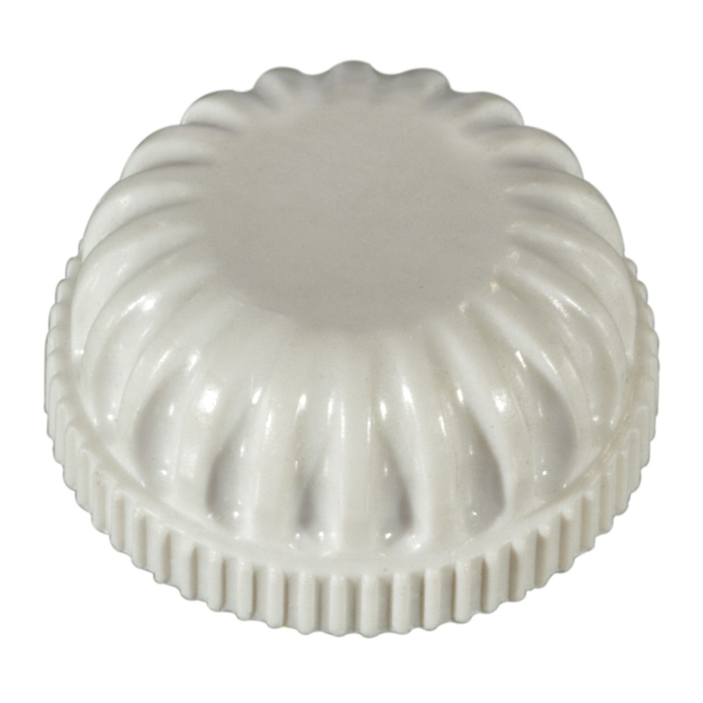 1/8 PT Rosette Cap Wht