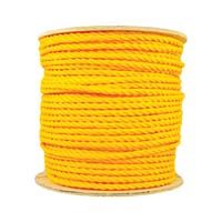 300541 1/2" X 300' PP TWSTD-YE