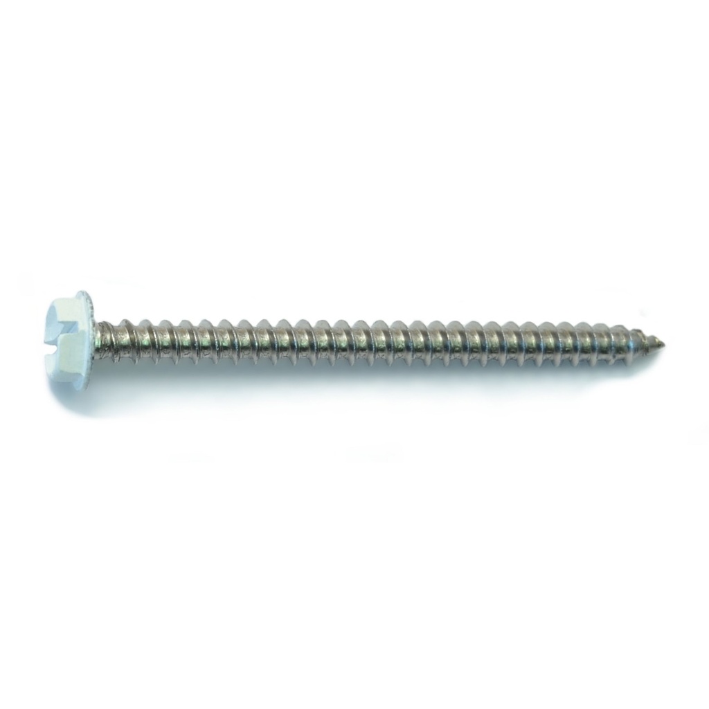 10 x 2-1/2 Hex SMS SS White