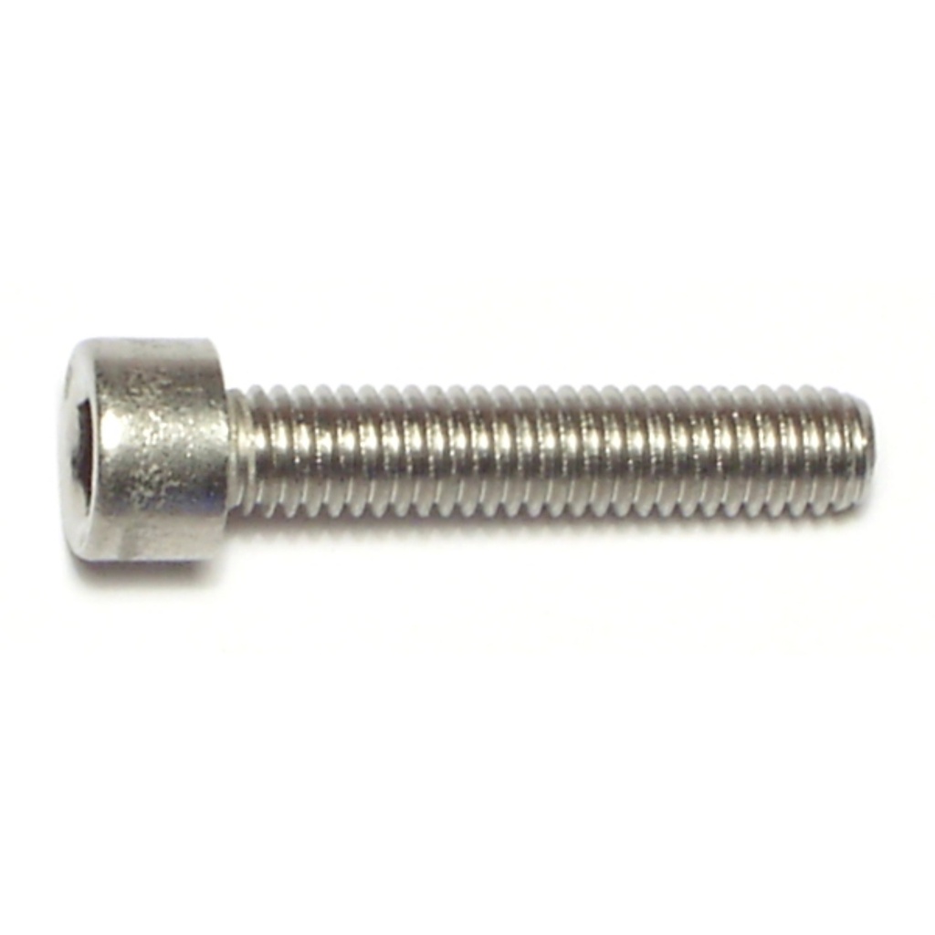 6mm-1.0 x 30Socket Cap Sc SS