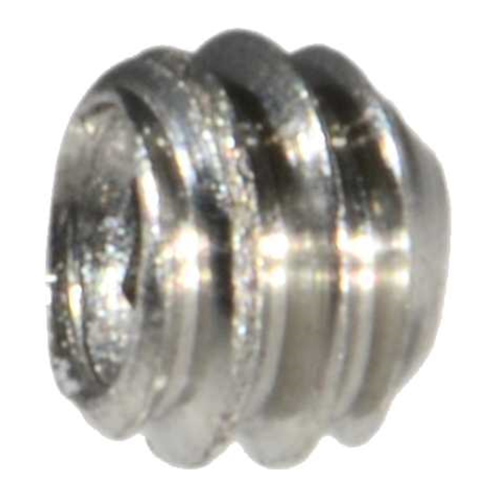 2-56 x 1/16 Sckt Set Scr SS