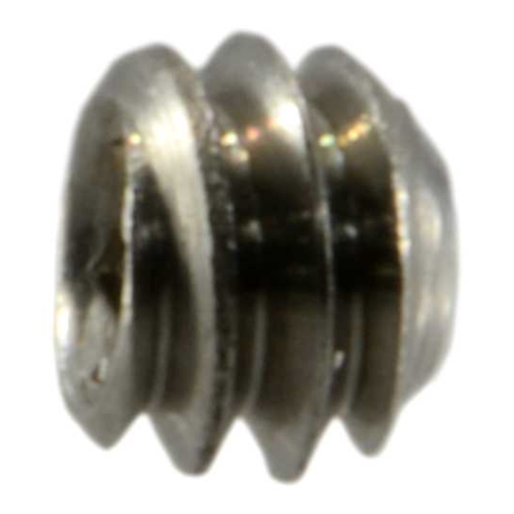3-48 x 1/16 Sckt Set Scr SS