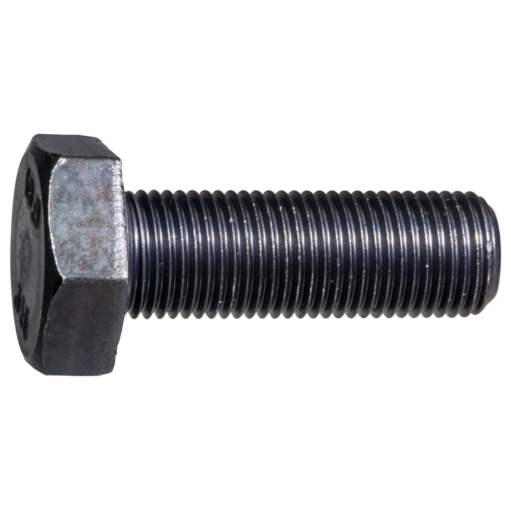 10mm-1.0 x30mm Hex Cap 10.9 Pln
