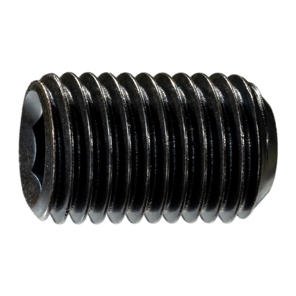 16mm-2.0 x25mm Socket Set Screw