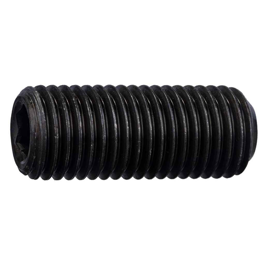 16mm-2.0 x40mm Socket Set Screw