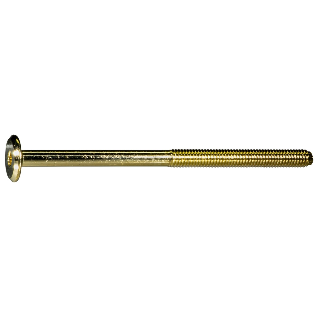 6mm-1.0 x100mm Jnt Con Bolt BrP