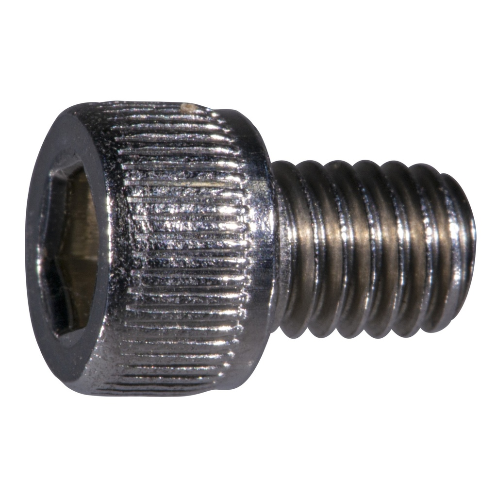 10-32 x 1/4 Socket Cap NF SS