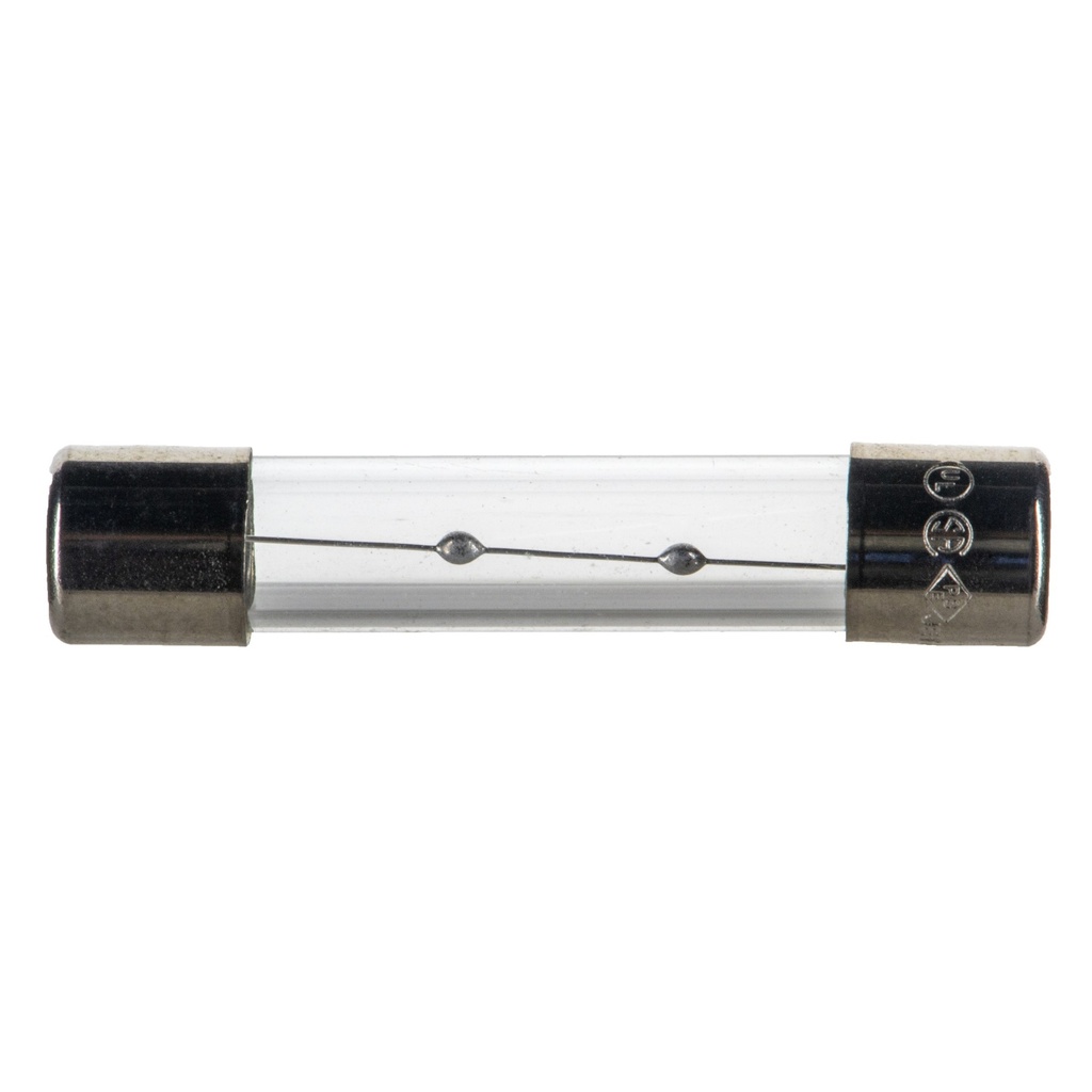 5A 1/4 x 1-1/4 TSA Slo Blo Fuse