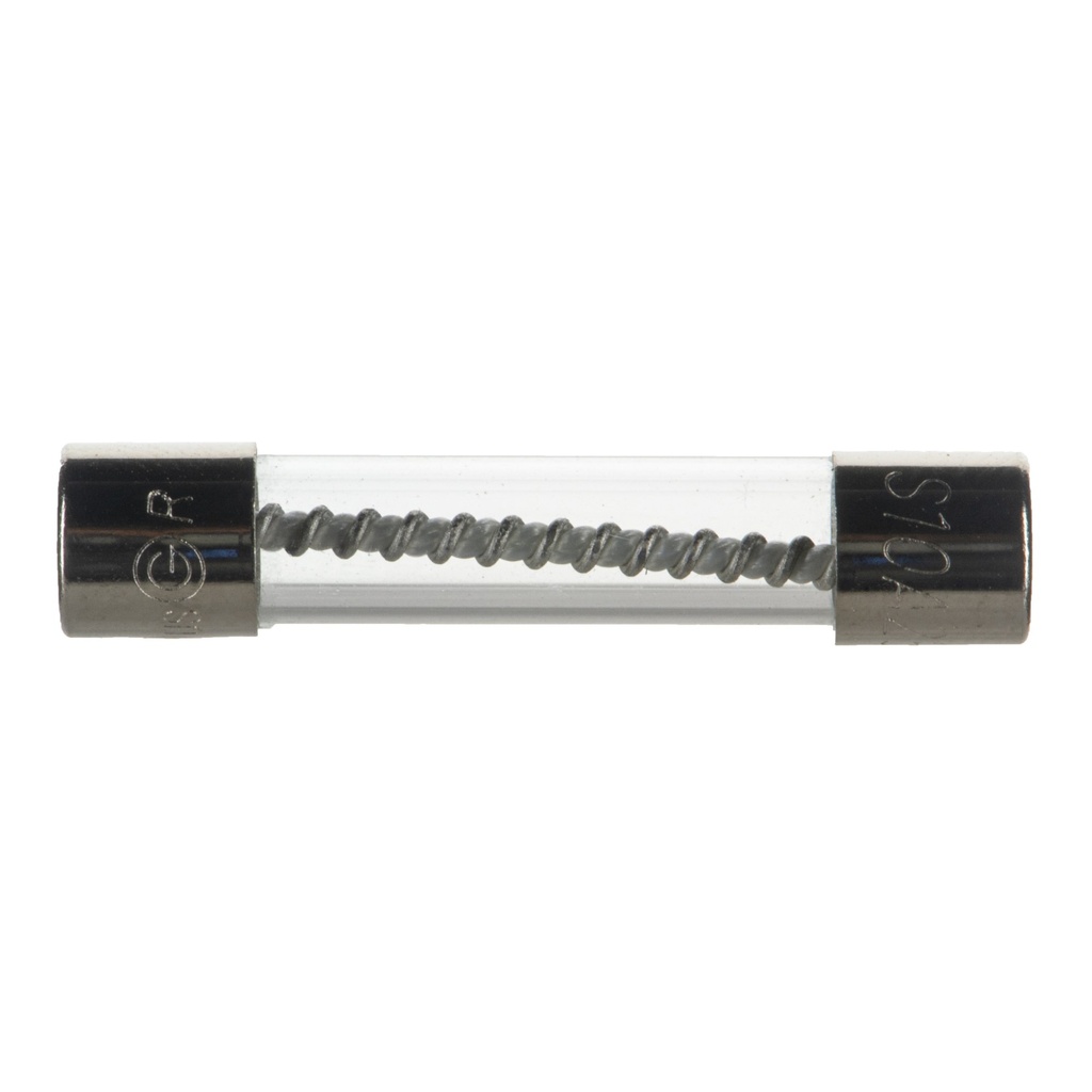 10A 1/4 x1-1/4 TSA Slo Blo Fuse