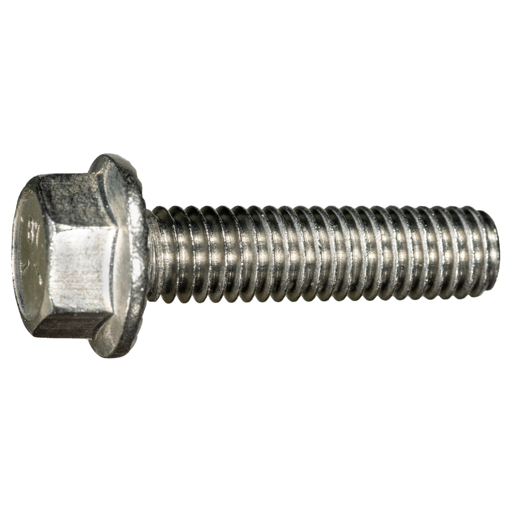 3/8-16 x 1-1/2 Ser Flang Blt SS