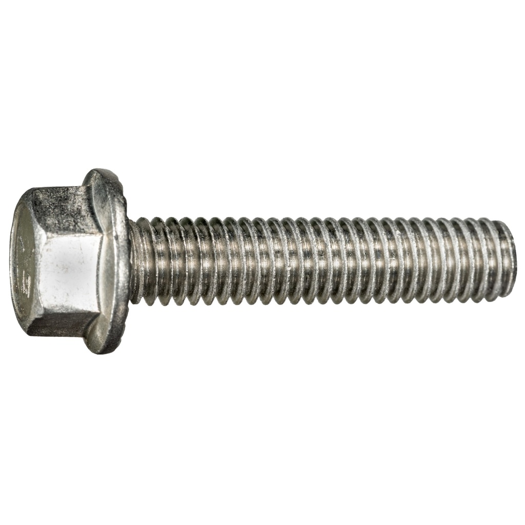 3/8-16 x 1-3/4 Ser Flang Blt SS