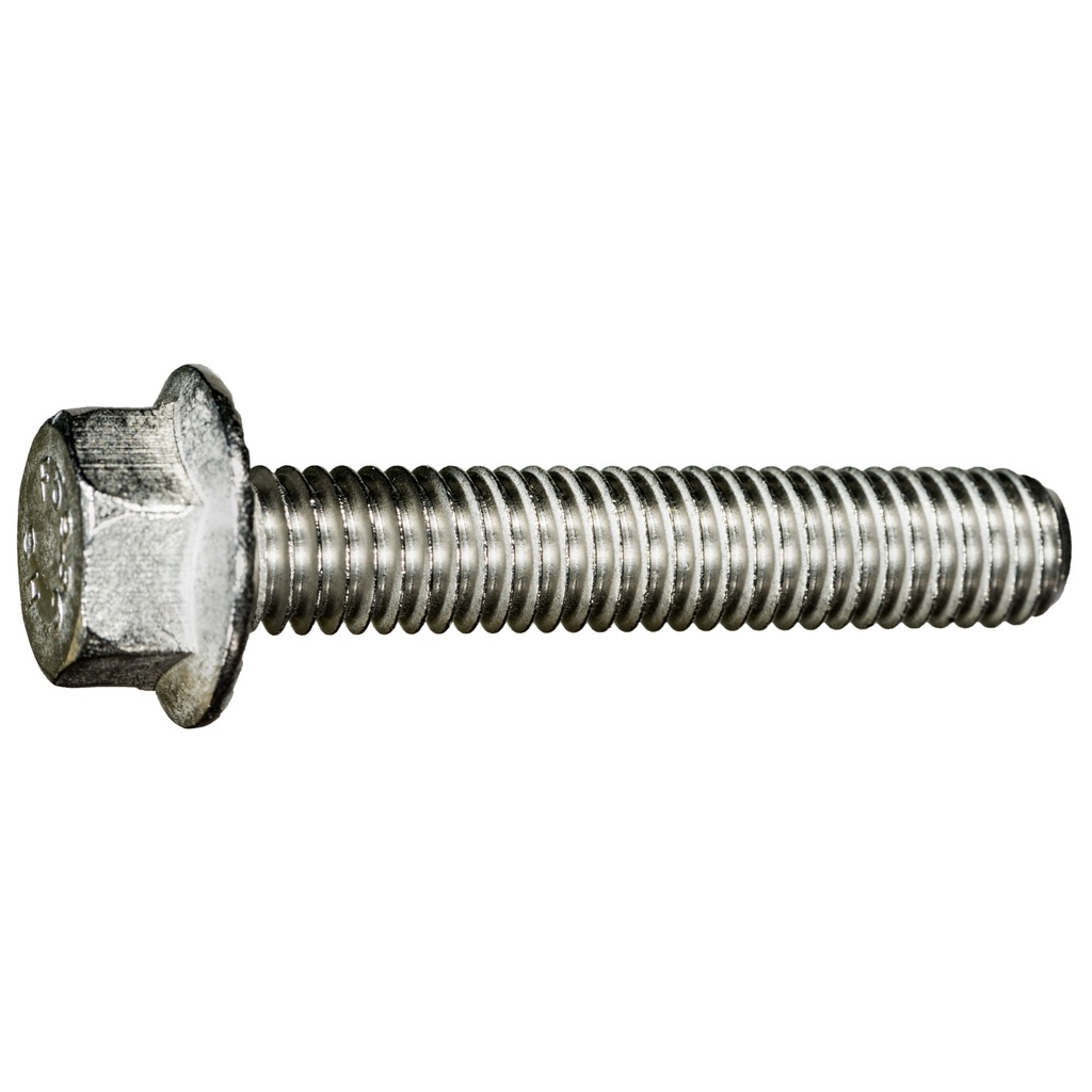 3/8-16 x 2 Ser Flang Blt SS