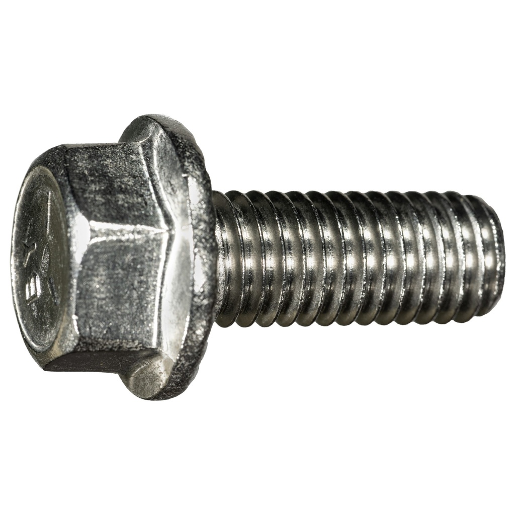 1/2-13 x 1-1/4 Ser Flang Blt SS