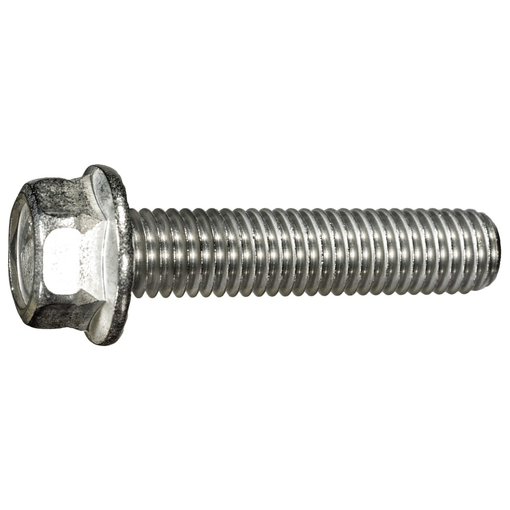 1/2-13 x 2-1/4 Ser Flang Blt SS