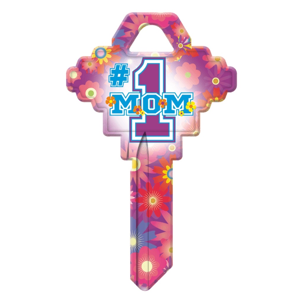 SC1-MOM #1 MOM
