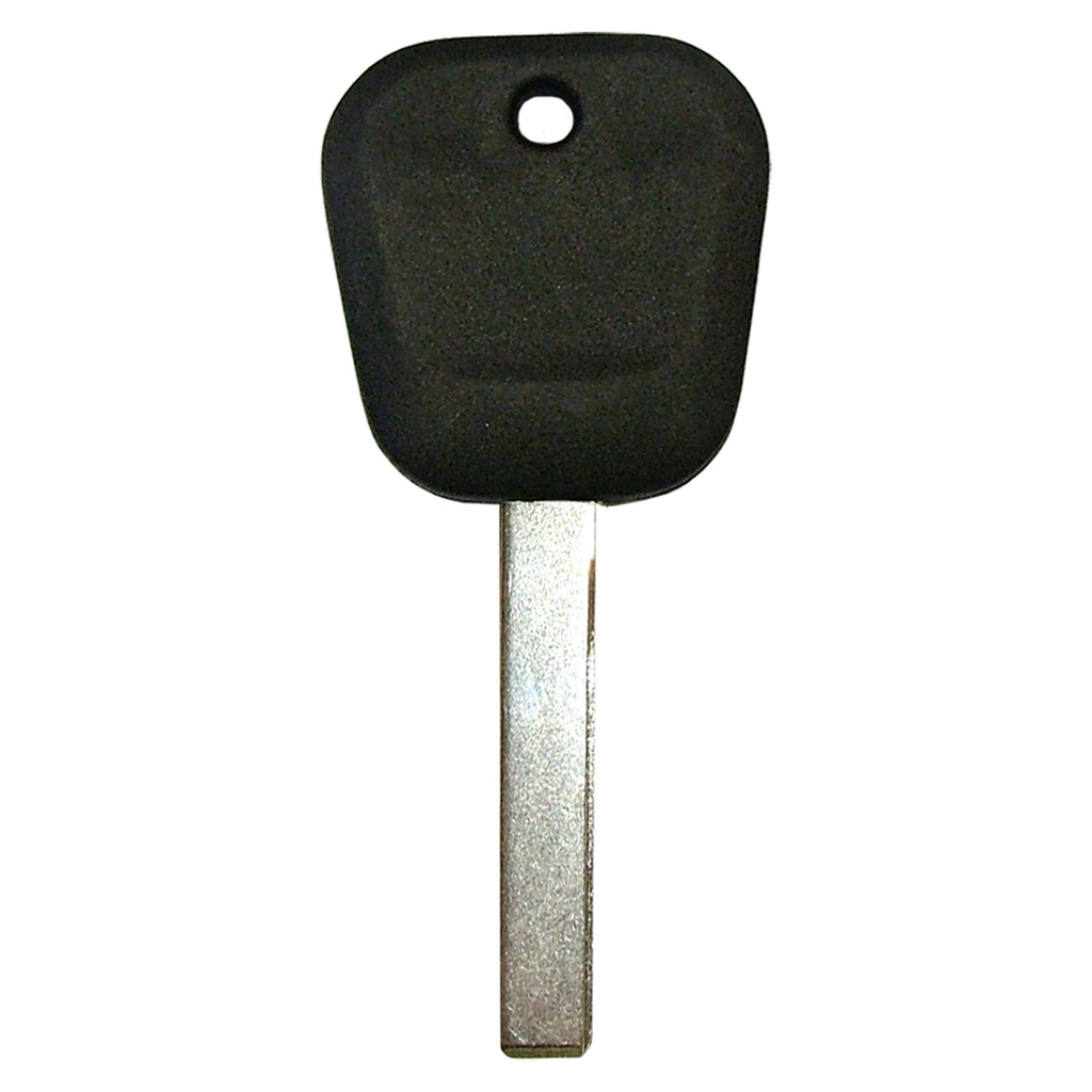 P-GM513(SW) GM CHIPKEY