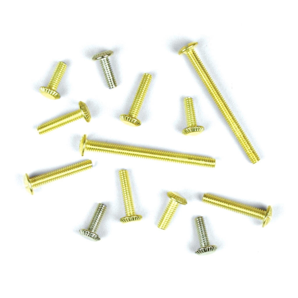 [MFC60141] SCREWS(13) ASSORTED