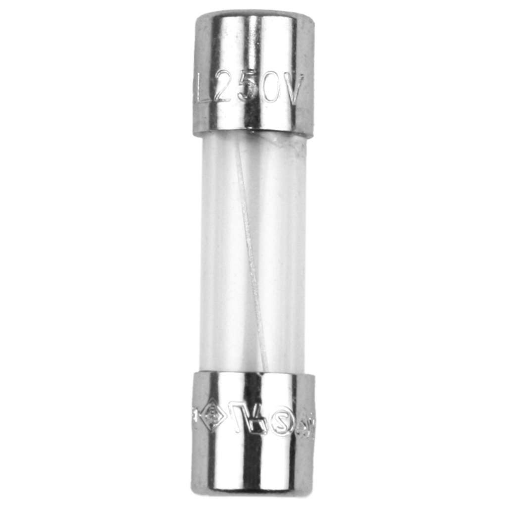 FUSE S506 10A TIME DELAY GLASS