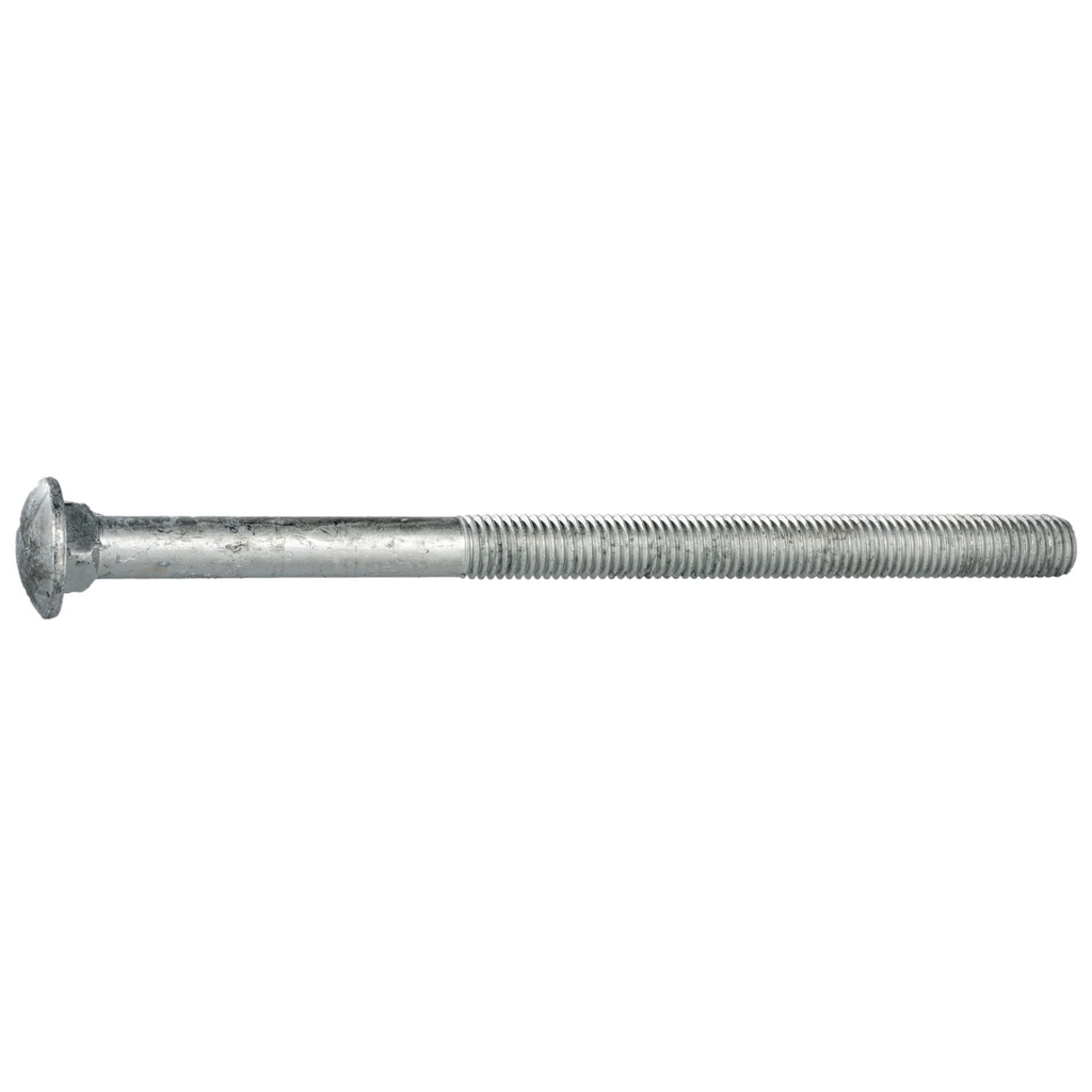 5/8-11 x 10 Carriage Blt HDG